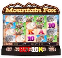 BET10K